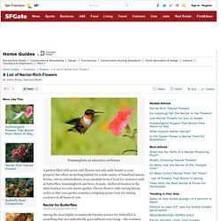 A List of Nectar-Rich Flowers