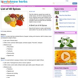 List of 40 Spices - LoveToKnow Herbs