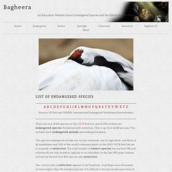 List of Endangered Species at Bagheera