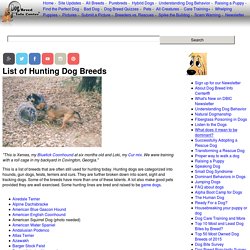 List of Hunting Dog Breeds