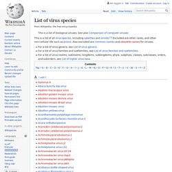 List of virus species