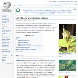 WIKIPEDIA - List of pests and diseases of roses.