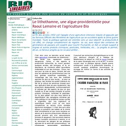 Le lithothamne, une algue providentielle pour Raoul Lemaire et l'agriculture Bio