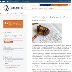 Patent Litigation Reform & Its Critics