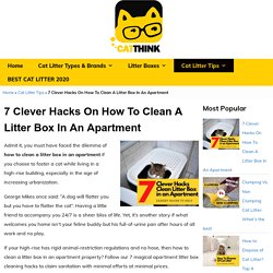 How To Clean A Litter Box In An Apartment: 7 Magics Hacks - Catthink