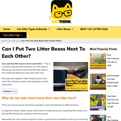 Can I Put Two Litter Boxes Next To Each Other? - Catthink