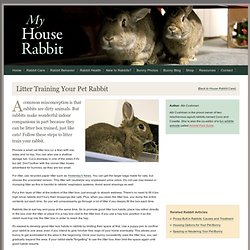 Litter Box Train Your Bunny Rabbit - House Rabbit Care