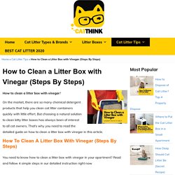 How to Clean a Litter Box with Vinegar: 4 Simple Steps - Catthink