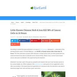 Little Known Chinese Herb & Iron Kill 98% of Cancer Cells in 16 Hours