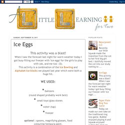 A Little Learning For Two: Ice Eggs