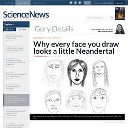 Why every face you draw looks a little Neandertal