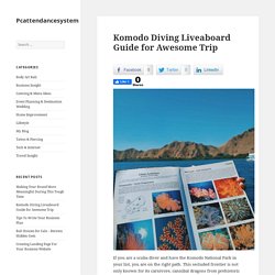 Komodo Diving Liveaboard Guide for Awesome Trip