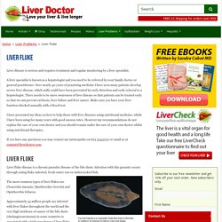 Liver Fluke – Liver Doctor