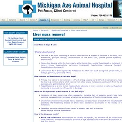 Liver Disease in Dogs & Cats