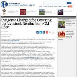 Syngenta Charged for Covering up Livestock Deaths from GM Corn