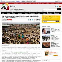 War-Torn Somalia Exports More Livestock Than Ethiopia And Kenya Combined