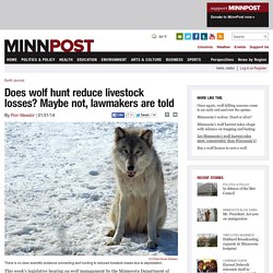 Wolf hunt vs. depredation control