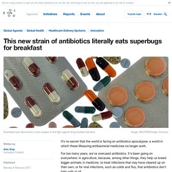 Living antibiotics - they're deadly to superbugs