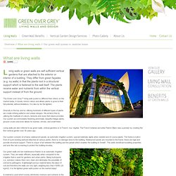 What are Living Walls? Definition of Green Wall and Vertical Garden