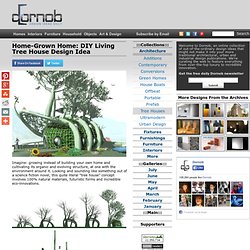 Home-Grown Home: DIY Living Tree House Design Idea