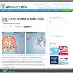 Living Lung, modelo interactivo de los pulmones [iPad]