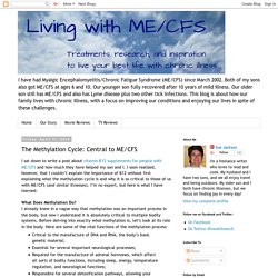 Living With ME/CFS: The Methylation Cycle: Central to ME/CFS