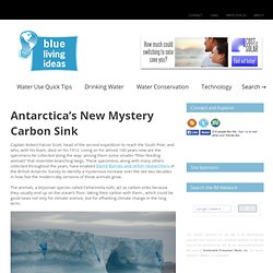 Antarctica’s New Mystery Carbon Sink – Blue Living Ideas
