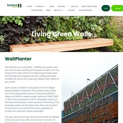 Living Wall Systems UK