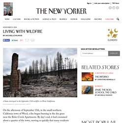 Living with Wildfire - The New Yorker