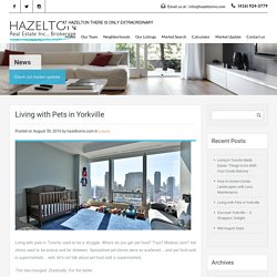 Living with Pets in Yorkville