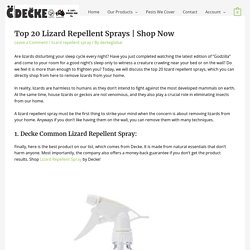 Top Lizard Repellent Spray for Home in India
