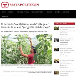 El llamado "capitalismo verde" dibuja en Yucatán la nueva "geografía del despojo"