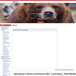 Local Small Business Seo Services Canada