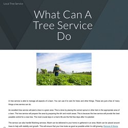 Local Tree Service