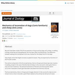 Mechanics of locomotion of dogs (Canis familiaris) and sheep (Ovis aries) - Jayes - 1978 - Journal of Zoology