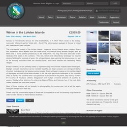 Lofoten Islands Photography Tour