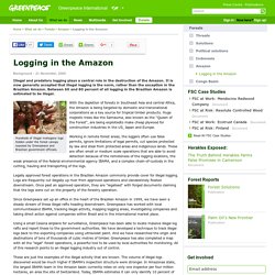 Logging in the Amazon