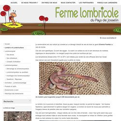 Lombric et Lombriculture