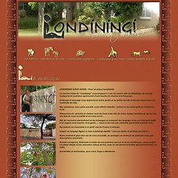 Londiningi, Guest house