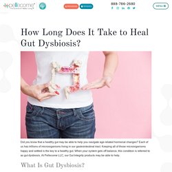 How Long Does It Take to Heal Gut Dysbiosis? - Pellecome