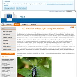 EUROPE 27/01/16 Rapport : EU Member States fight Longhorn Beetles
