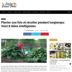 Planter une fois et récolter pendant longtemps: Voici 8 idées intelligentes - Jardin de Grand Meres