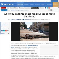 International : La longue agonie de Homs, sous les bombes d'el-Assad
