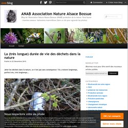 La (très longue) durée de vie des déchets dans la nature - ANAB Association Nature Alsace Bossue