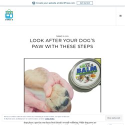 Look After Your Dog’s Paw With These Steps