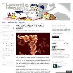 tRNA lookalikes in the Human Genome