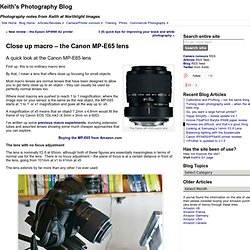 Close up macro – the Canon MP-E65 lens
