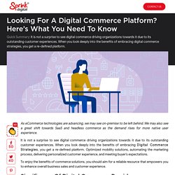 10 Things Before Implementing An ECommerce Solution