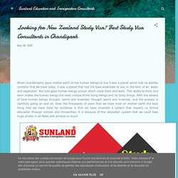 Looking for New Zealand Study Visa? Best Study Visa Consultants in Chandigarh