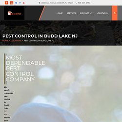 Looking for a Budd Lake NJ pest control service for your premises? Phone us at 908-357-1797 now